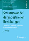Buchcover Strukturwandel der industriellen Beziehungen