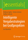 Buchcover Intelligente Vergabestrategien bei Großprojekten