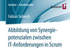 Buchcover Abbildung von Synergiepotenzialen zwischen IT-Anforderungen in Scrum