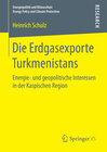 Buchcover Die Erdgasexporte Turkmenistans