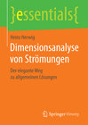 Buchcover Dimensionsanalyse von Strömungen