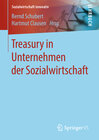 Buchcover Treasury in Unternehmen der Sozialwirtschaft
