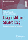 Buchcover Diagnostik im Strafvollzug