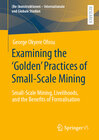 Buchcover Examining the ‘Golden’ Practices of Small-Scale Mining