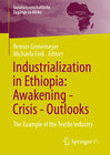 Buchcover Industrialization in Ethiopia: Awakening - Crisis - Outlooks