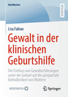 Buchcover Gewalt in der klinischen Geburtshilfe