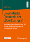 Buchcover Die politische Ökonomie der „Überflüssigen“