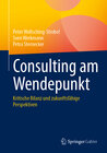 Buchcover Consulting am Wendepunkt