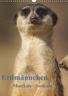Buchcover Erdmännchen-Meerkats-Surikate (Wandkalender 2013 DIN A3 hoch)