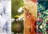 Buchcover Bunt durch das Jahr (Wandkalender 2013 DIN A4 quer)