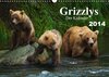 Buchcover Grizzlys - Der Kalender (Wandkalender 2014 DIN A3 quer)