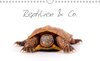 Buchcover Reptilien & Co. (Wandkalender 2014 DIN A4 quer)
