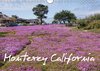 Buchcover Monterey California (Wandkalender 2014 DIN A4 quer)