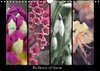 Buchcover The Beauty of Nature (Wandkalender 2014 DIN A4 quer)