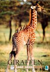 Buchcover Giraffen ganz groß (Wandkalender 2014 DIN A3 hoch)