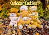 Buchcover Outdoor Teddies (CH - Version) (Wandkalender 2014 DIN A2 quer)