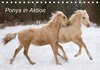 Buchcover Ponys in Aktion (Tischkalender 2014 DIN A5 quer)