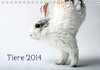 Buchcover Tiere 2014 (Tischkalender 2014 DIN A5 quer)