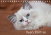 Buchcover Ragdoll Kitten (Tischkalender 2014 DIN A5 quer)