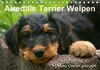 Buchcover Airedale Terrier Welpen (Tischkalender 2014 DIN A5 quer)
