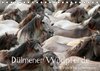 Buchcover Dülmener Wildpferde - Gefährdete Nutztierrasse (Tischkalender immerwährend DIN A5 quer)
