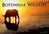 Buchcover Botswana Wildlife (Tischkalender 2014 DIN A5 quer)