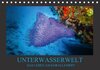 Buchcover Unterwasserwelt - Das Leben am Korallenriff (Tischkalender 2014 DIN A5 quer)