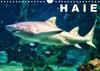 Buchcover Haie (Wandkalender 2014 DIN A4 quer)