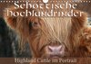 Buchcover Schottische Hochlandrinder - Highland Cattle im Portrait (Wandkalender 2015 DIN A4 quer)