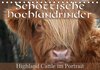 Buchcover Schottische Hochlandrinder - Highland Cattle im Portrait (Tischkalender 2015 DIN A5 quer)