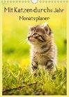 Buchcover Mit Katzen durchs Jahr / Planer (Wandkalender 2015 DIN A4 hoch)