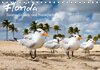 Buchcover Florida - Sonne, Strände und Naturparks (Tischkalender 2015 DIN A5 quer)