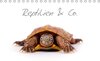 Buchcover Reptilien & Co. (Tischkalender 2015 DIN A5 quer)