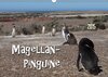 Buchcover Magellan-Pinguine (Wandkalender 2015 DIN A3 quer)