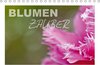Buchcover Blumenzauber (Tischkalender 2015 DIN A5 quer)
