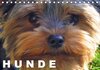 Buchcover Hunde / Geburtstagskalender (Tischkalender 2015 DIN A5 quer)