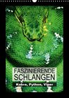 Buchcover Kobra, Python, Viper – Faszinierende Schlangen (Wandkalender 2015 DIN A3 hoch)