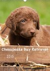 Buchcover Chesapeake Bay Retriever 2015 (Wandkalender 2015 DIN A3 hoch)
