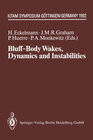 Buchcover Bluff-Body Wakes, Dynamics and Instabilities