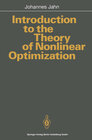 Buchcover Introduction to the Theory of Nonlinear Optimization
