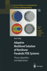 Buchcover Adaptive Multilevel Solution of Nonlinear Parabolic PDE Systems