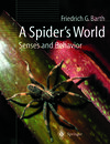 Buchcover A Spider’s World