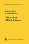 Buchcover Cohomology of Finite Groups (Grundlehren der mathematischen Wissenschaften Book 309) (English Edition)