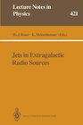 Buchcover Jets in Extragalactic Radio Sources