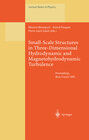 Buchcover Small-Scale Structures in Three-Dimensional Hydrodynamic and Magnetohydrodynamic Turbulence