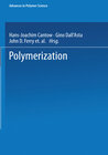 Buchcover Polymerization