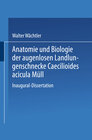 Buchcover Anatomie und Biologie der augenlosen Landlungenschnecke Caecilioides acicula Müll