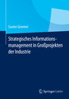 Buchcover Strategisches Informationsmanagement in Großprojekten der Industrie