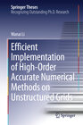 Buchcover Efficient Implementation of High-Order Accurate Numerical Methods on Unstructured Grids