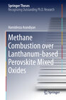 Buchcover Methane Combustion over Lanthanum-based Perovskite Mixed Oxides